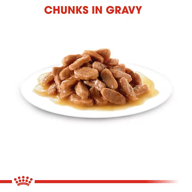 Royal Canin Kitten Wet Cat Food in Gravy